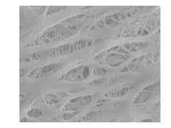 義騰新能源 微孔單層隔膜圖1