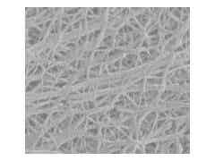 義騰新能源 常規微孔單層隔膜圖1