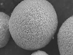 吉林亞融科技——動力型電池用球形氫氧化鎳（包覆鈷類）圖2