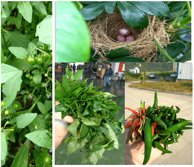 鋰電池?cái)嚢柙O(shè)備企業(yè)引入傳統(tǒng)文化管理淺探