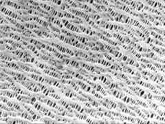 龍世紀(jì) 干法隔膜圖2