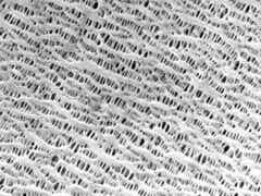 龍世紀 陶瓷涂覆隔膜圖2