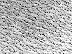 龍世紀(jì) 聚合物涂覆隔膜SJ2圖2