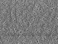 滄州明珠PVDF涂覆隔膜圖2