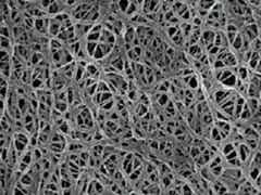 滄州明珠PVDF涂覆隔膜圖3