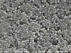 滄州明珠陶瓷涂覆隔膜圖2