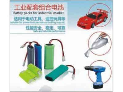 江特電機 鋰離子電池 工業(yè)級電池包