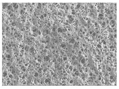 中材鋰膜油系多層涂膠隔膜圖2