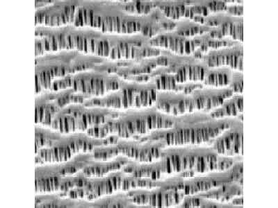 恩捷新材干法鋰電隔膜