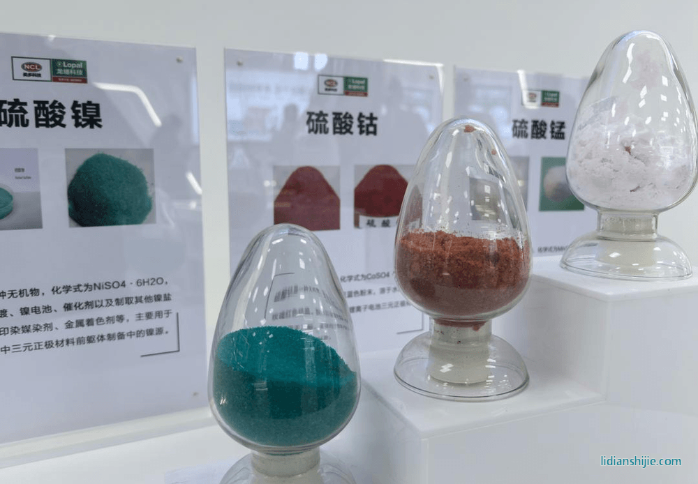 龍蟠科技磷酸鐵鋰正極材料 龍蟠科技磷酸鐵鋰正極材料