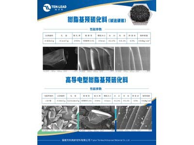 硅碳負(fù)極載體碳圖2