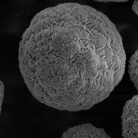 邦普循環鎳鈷錳氫氧化物PH8302